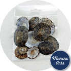 Craft Pack - Blue Limpets